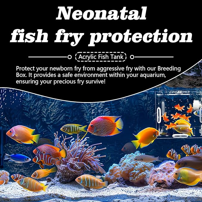 Acrylic Fish breeding Box, Transparent Fish Isolation Box, Fish Separation Box for Aquarium, Hatchery Incubator with Suction for Shrimp Guppy Clownfish Small Fish (3.9 x 3.9 x 3.9Inch)