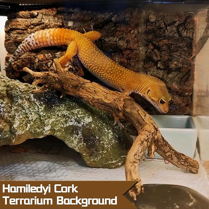 Hamiledyi Cork Terrarium Background 11.8x7.9in 6PCS Natural Reptile Cork Bark Flats Terrarium Board Bearded Dragon Climbing Wall Mat Tank Decor for Lizard Chamelon Snake Turtle Spider Crested Gecko