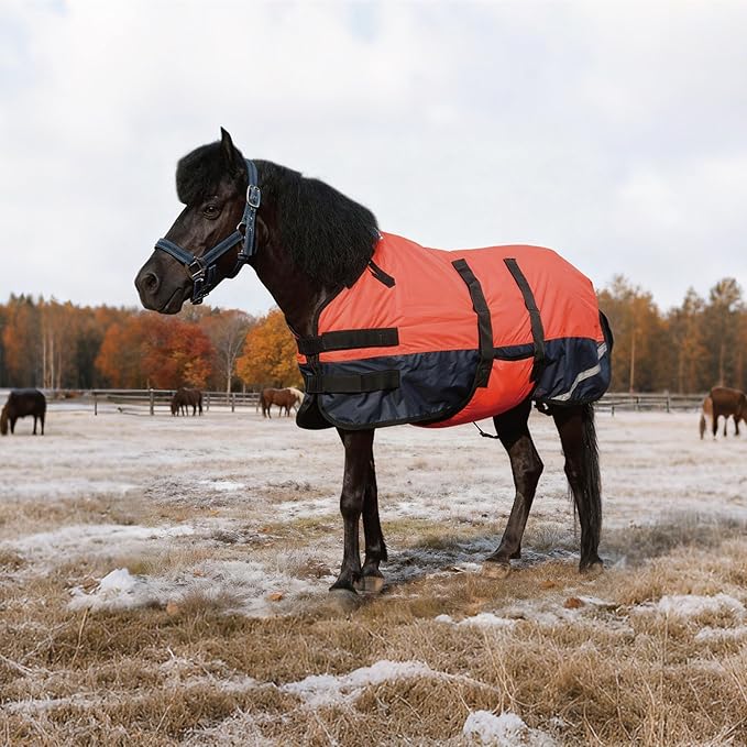 Foal/Mini Horse Size 30"-48" Waterproof & Breathable 300 Denier Winter Turnout Blanket with 150g Polyfill Fluorescencered Medium