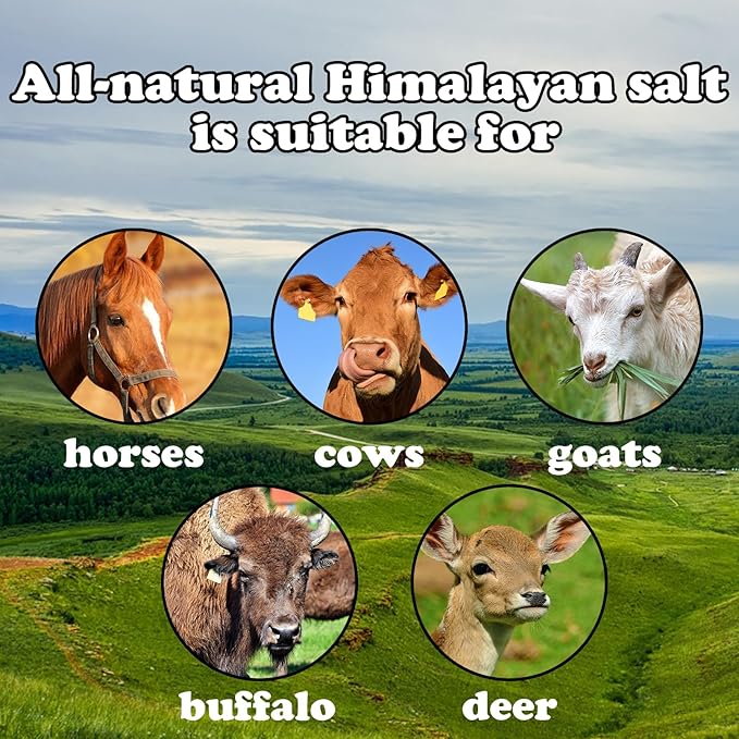 Animal Salt Lick Block on Rope for Horses,Deer,Cattle,Sheep Livestock Natural Organic Mineral Intake Long Lasting Himalayan Deer Salt Block(1 Pcs,2.4-3.3 lbs)