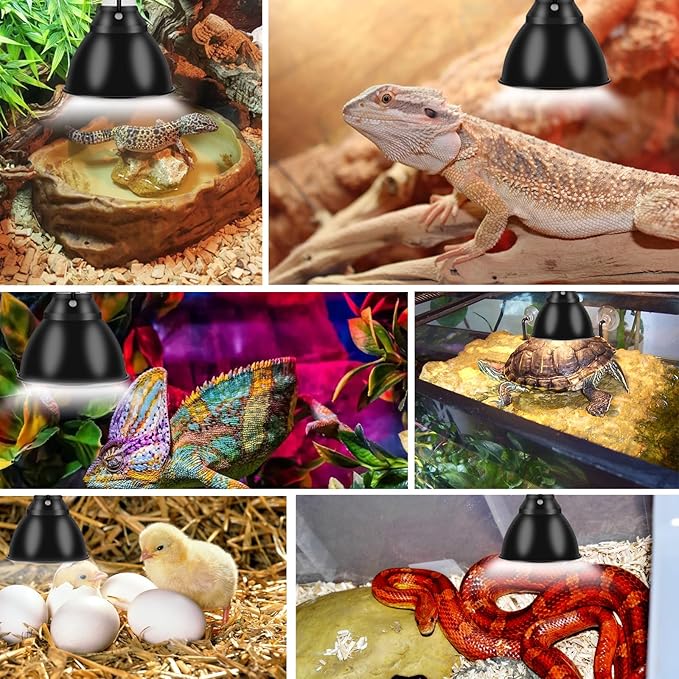 Reptile Lamp Stand Ajustable 16-31 Inch Heat lamp Holder Metal Bracket Floor Terrarium Light Holder for Reptile Glass Tank,Snake Turtle Terratium