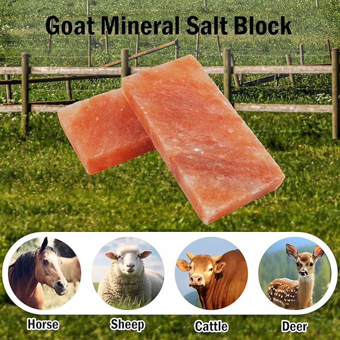 Himalayan Rectangle Horse Salt Lick Brick for Cattle, Goats, Cows and Other Livestock, 100% Natural Animal Salt Blocks for Deer Provide Minerals(1 Pcs | 8 x 4 x1 Inches)