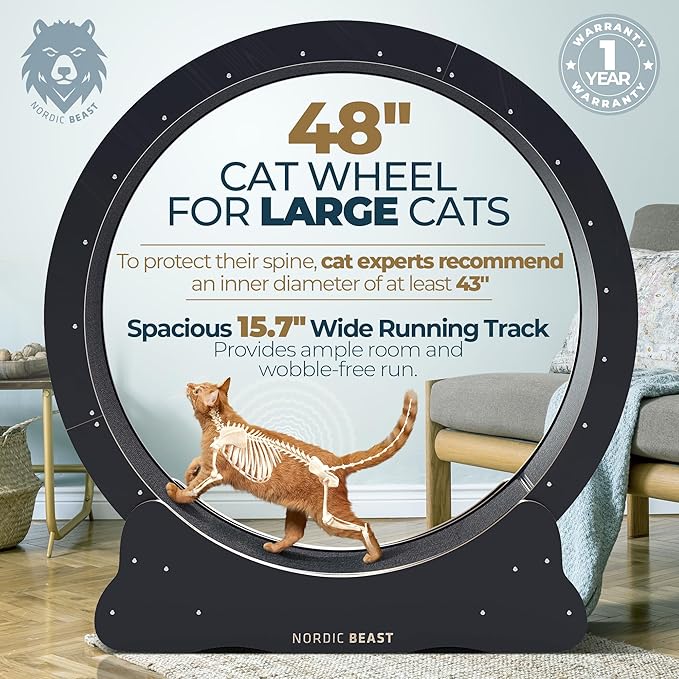 48'' XL Cat Wheel – Safe, Quiet & Stable Exercise Wheel for Large Indoor Cats up to 45 lbs – 15.7'' Extra-Wide Surface Fits 2 Cats Side by Side & Prevents Wobbling, 1-Year Warranty