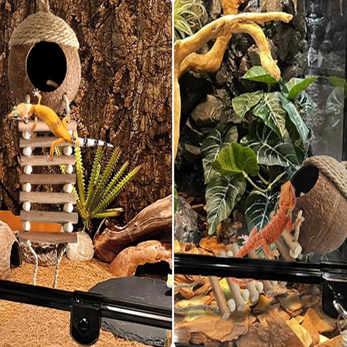 Lizard Coco Den with Ladder,5PCS Leopard Gecko Tank Accessories Reptile Terrarium Plants Hammock Coconut Hut Hide Hanging Reptile Decor for Crested Gecko,Baby Bearded Dragon,Chameleon,Snake