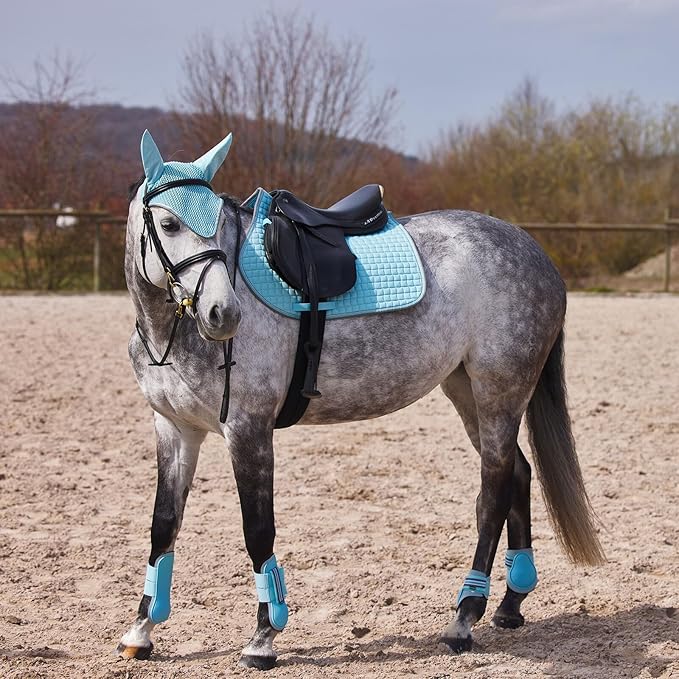 HORZE Adepto Open Front Tendon Boots | Durable Shell with Neoprene Lining - Canal Blue - Horse
