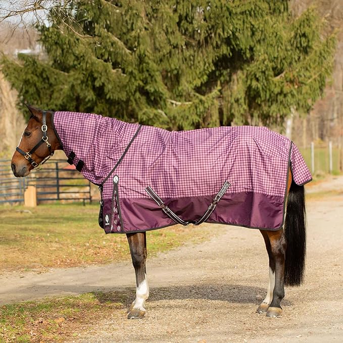 Equinavia Norse Lightweight 100g Fill Horse Rain Blanket | Waterproof Turnout Sheet - Black - 66 in - Plum Wine/Orchid Haze - 81 in