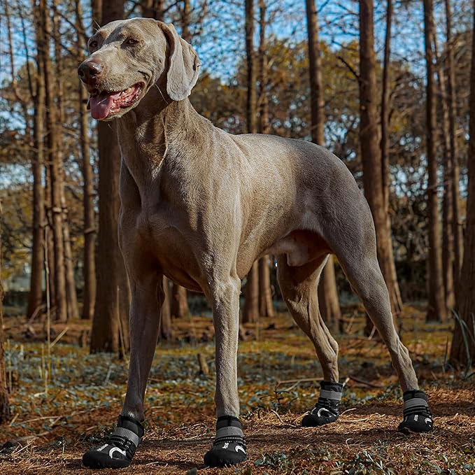 Dog Shoes, Waterproof Dog Boots & Paw Protectors with Anti-Slip Sole, 4pcs/Set Pet Dog Booties, Reflective Dog Shoes for Small Medium Large, Winter Snowy Summer Hot Pavement (Black, 8# (2XL))