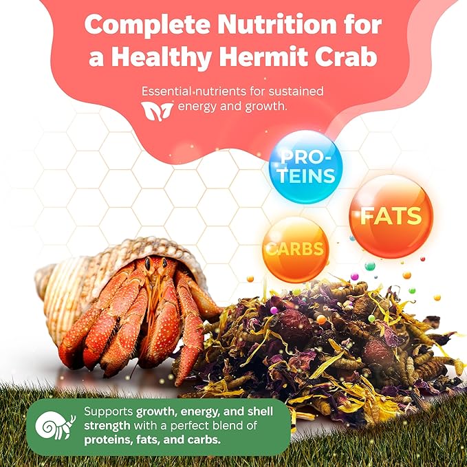 Snout and Shell Bugs and Blooms Hermit Crab Food - 1 oz - 30 Grams - Whole Food Diet for Hermit Crabs - Seeds, Bugs and More
