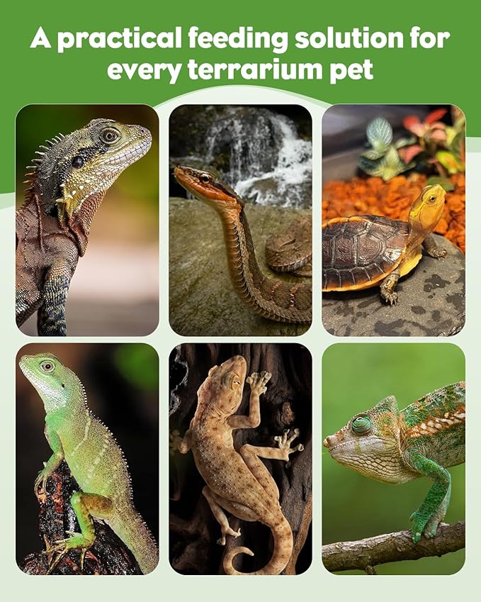 Pawfly 3 Pack Reptile Feeding Clamp, Bug Scooper, Plastic Reptile Poop Scoop, Terrarium Reptile Feeding and Cleaning Tools for Lizard Bearded Dragon Gecko Snake, 3 Colors