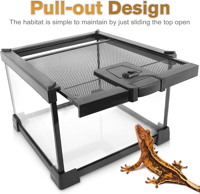 Mini Reptile Glass Terrarium Vivarium 8'' x 8'' x 6'' Full View Tank Small Amphibians Glass Habitat Cage with Feeding Slot & Box Lock Buckle