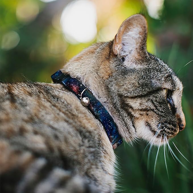 Cat Collar Breakaway Space Dust Collage 8 to 12 Inches 0.5 Inch Wide
