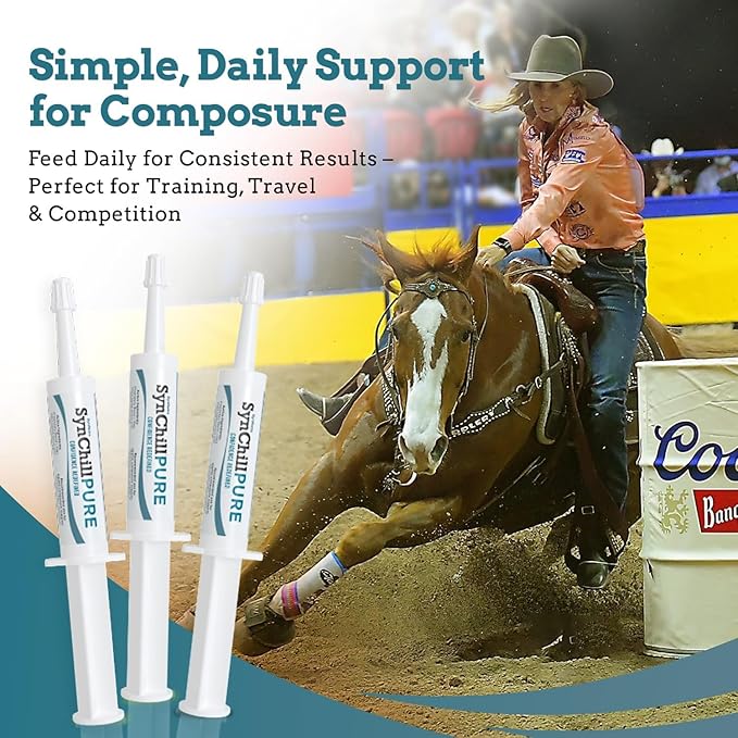 SynNutra Equine SynChill Pure 12-Pack – Non-Sedative Disposition Support for Horses – Plant-Based, L-Theanine-Free Formula for Calm, Confident Performance – 100% Natural & Competition Safe
