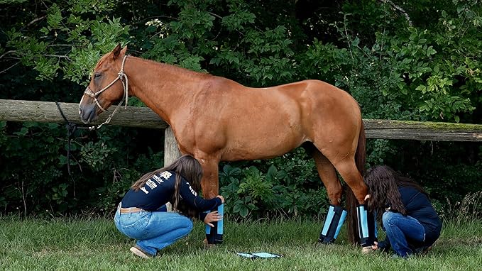 Warrior Fly Boots for Horses - Breathable Mesh Horse Boots for Fly Protection & Leg Comfort - Set of 4 (Trojan Warrior, Red)