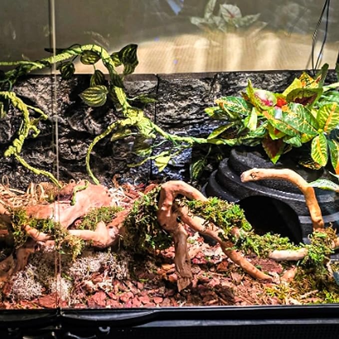 HERCOCCI Bearded Dragon Tank Accessories, Terrarium Plants Reptile Vine Decorations Decor for Bearded Dragon Lizard Snake Geckos Chameleon