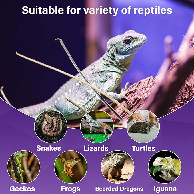 Reptile Heat Lamp Bulbs-100W Tortoise Night Heat Bulb E26 Terrarium Heat Lamp Simulate Natural Moon Purple Light for Snake Bearded Dragon Leopard Gecko Lizard Chameleon-2Pack