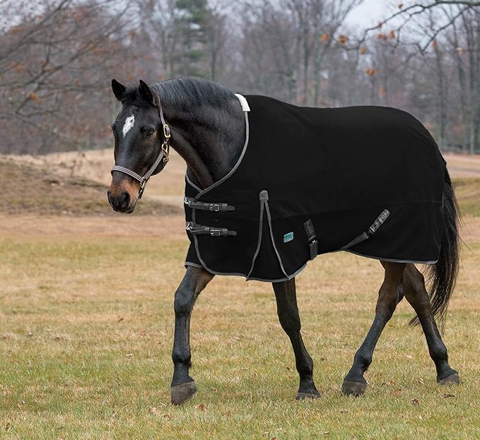 Dover Saddlery Rider’s International Supreme Medium Weight Turnout Blanket