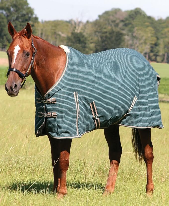 Jeffers Equine Basic Canvas Horse Blanket, 60" – Water Resistant Turnout Blanket for Horses, Pony, Draft – Breathable, Adjustable Straps, Tail Flap, Shoulder Gussets, Barn Gear - Green Tan Check
