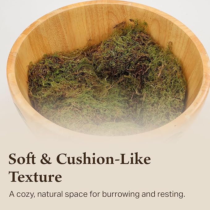 The Habitat Life - Natural Deco Moss - for Reptiles, Amphibians & Invertebrates Terrariums - Humidity Control - Natural Look & Feel - Soft Surface - Dye-Free & Safe - Medium - 2 Pack