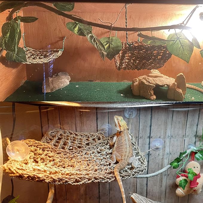 Tfwadmx Bearded Dragon Hammock Lizard Lounger Natural Seagrass Fiber Reptile Climbing Toys Jungle Climber Vines Decor for Hermit Crabs Geckos Snakes