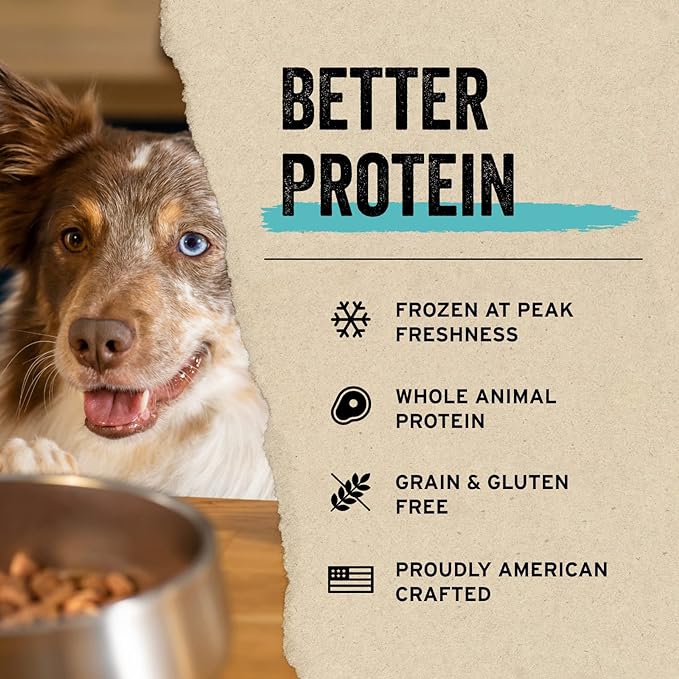 Vital Essentials Freeze Dried Raw Protein Mix-in Dog Food Topper, Beef Mini Nibs Topper for Dogs, 6 oz