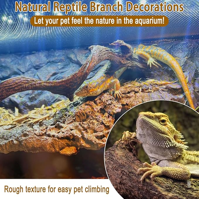 BNOSDM Reptile Forest Climbing Branch Decor Crested Gecko Climb Wood Natural Branches Tree for Snake Frog Chameleon Spider Bearded Dragon Terrarium Habitat Tank Accessories,6PCS