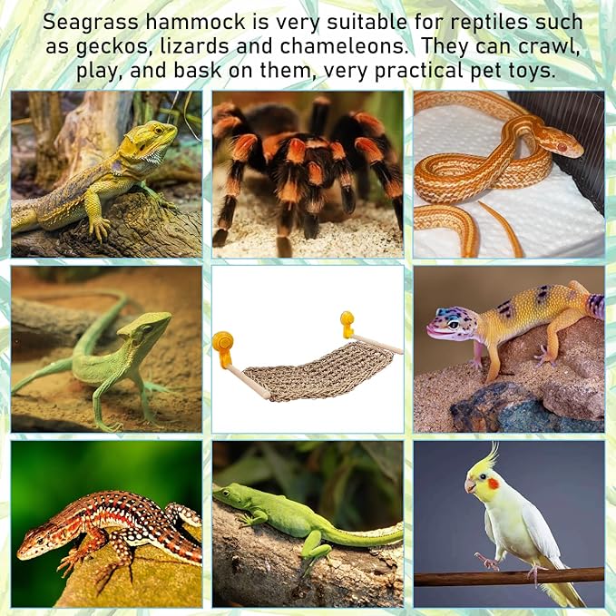 VCEPJH Bearded Dragon Window Perch Reptile Window Hammock Natural Seagrass Lizard Lounger Bed with Powerful Suction Cups Climbing Toys Tank Accessories for Gecko Chameleon Basking (15.75 * 7.87)