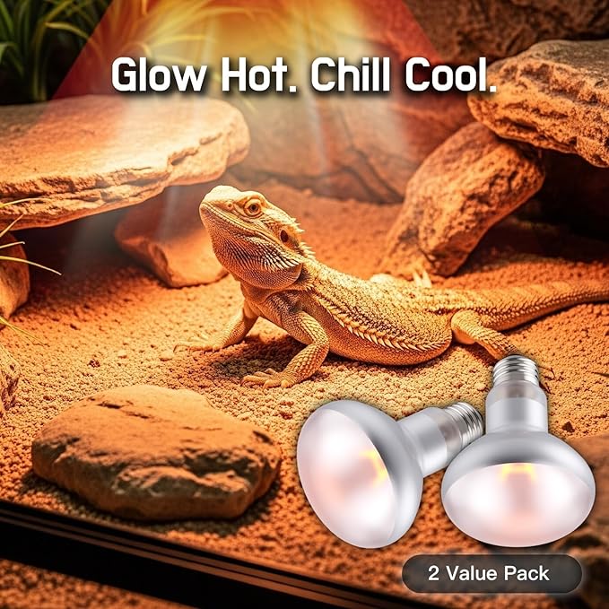 Reptile Heat Lamp, 75W 2-Pack Incandescent Basking Spotlight Bulbs for Reptiles Terrarium Tanks, Reptile Heat Bulb for Infrared Light, Bearded Dragon Heat Bulbs (75W)