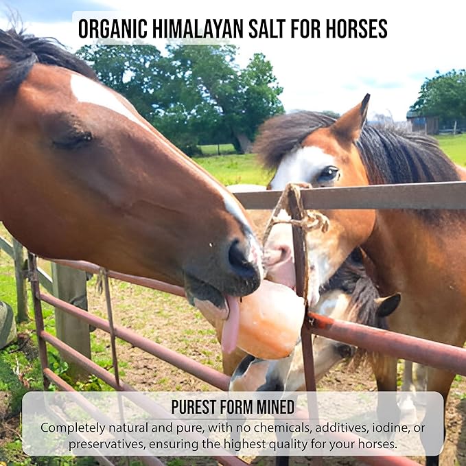 New 8 lbs Animal Himalayan Salt Lick on Rope for Horses, Deer, Rabbits, Cows and Other Livestock | Lick Salt for Deer | Digestive Aid for Animals | Horse Treats (8 lbs)