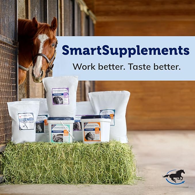 SmartEquine EquiBase Grass Pellets | Horse Vitamins & Minerals Supplement | Forage Balancer | Horses in Light to Moderate Work | 15 lb Bucket