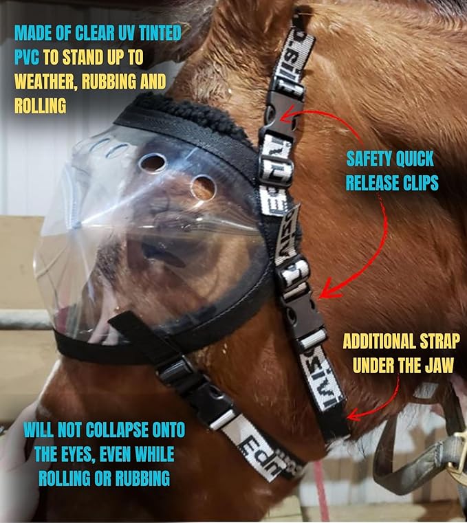 Recovery Vizor, (Size Full - Clear UV Tint) Medical and Preventative Horse Eye (Goggle) Protection Mask for Uveitis, Injury, Scratch or Corneal Infection, Blindness.