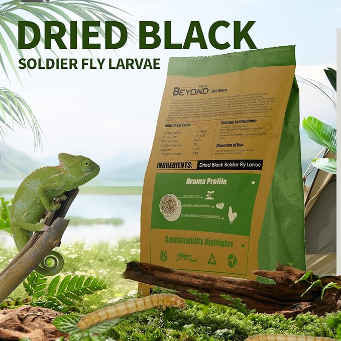 BeyondFeed™ Dried Black Soldier Fly Larvae - Nutrient-Rich, Sustainable Feed for Chickens, Ducks, Birds, Reptiles, Fish, Hamster, Turtles and More (1 Bottle (35g/ 1.23oz))