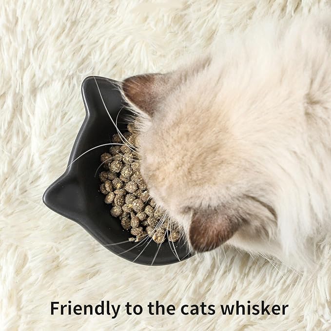 Nihow Elevated Cat/Dog Bowls Set : 5 Inch Ceramic Raised Cat Food and Water Bowl Set for Protecting Pet's Spine - Feeding & Watering Supplies for Pets- Matte Black (2PC)