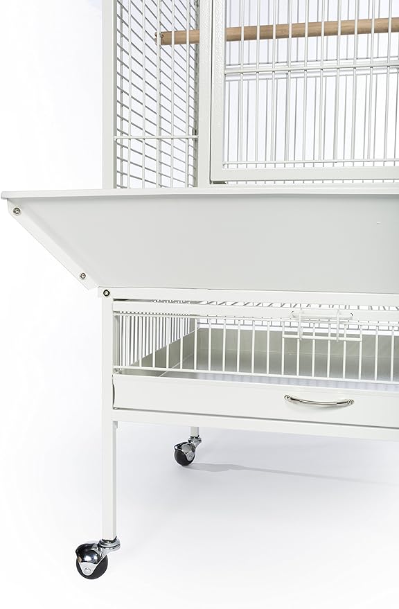 Prevue Pet Products 34522 Dometop Bird Cage, Large, Chalk White