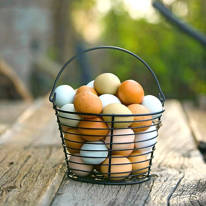 CountryMax Hen Egg Layer Pellet with 16% Protein for Increased Egg Production for Chickens (10 Pounds)