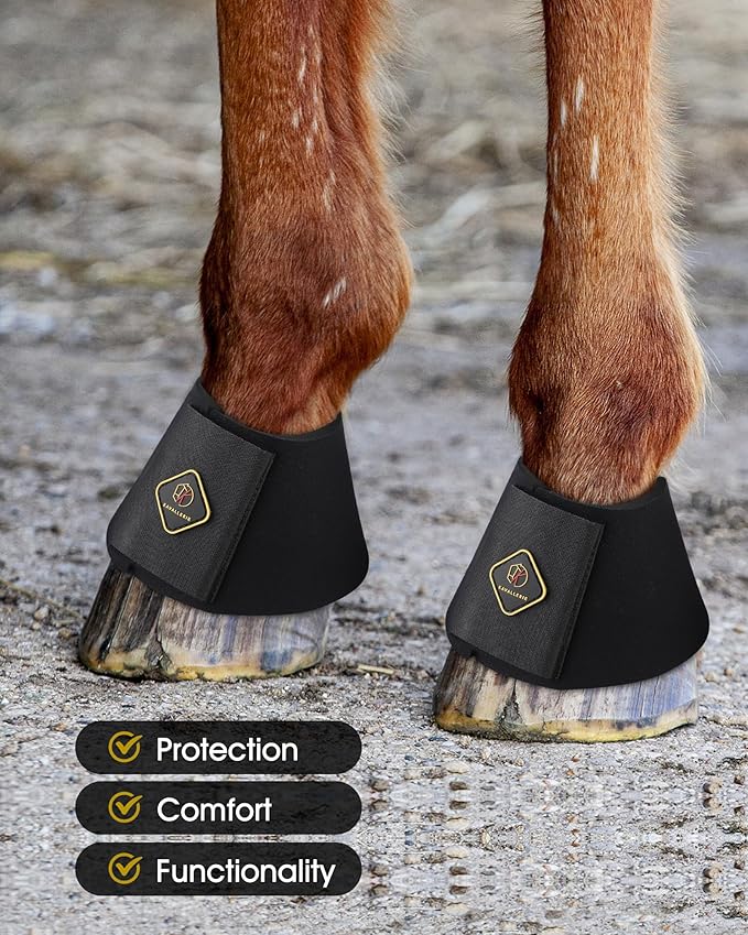 Kavallerie Pro Overreach Horse Bell Boots, Neoprene Pair for Training & Trail Riding