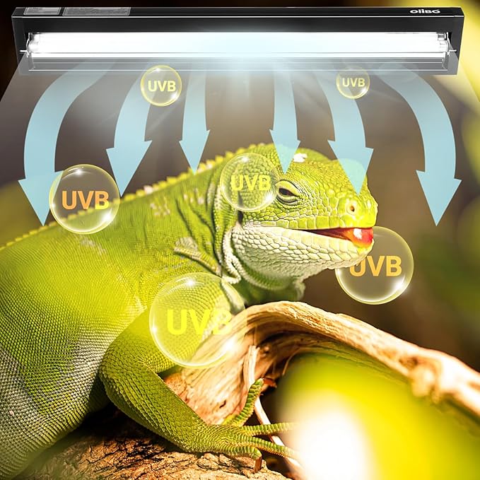 Oiibo T5 HO Reptile Light Fixture UVB Lighting Combo Kit, Reptiles Terrarium Lamp Hood Light Fixture Include UVB 5.0 Rainforest Reptile Light for Chameleon Arboreal Geckos Lizard (24W)