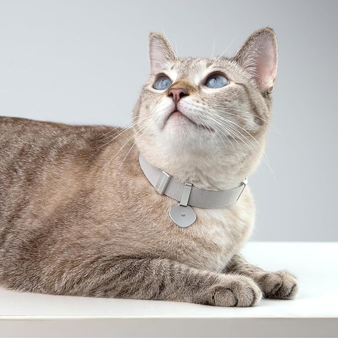 Safety Cat Collar Pro Pendant Tag Set - U.S. IDA Gold Award Design, Elastic Quick Release Non Breakaway Cat Collar Adjustable with Charm for Kitten Small Large Cats (Burgundy, S)