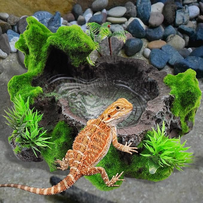 kathson Resin Reptile Bowl Bearded Dragon Food Dish Lizard Water Dish Reptiles Feeding Bowls with Feeder Tweezer for Leopard Gecko Tortoise Chameleon Water Frog Hermit Crab