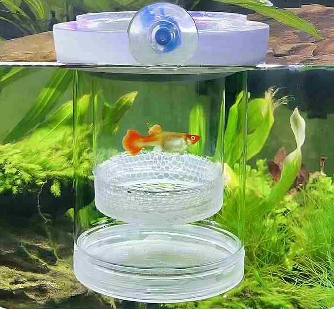 Guppy Breeder Box Breeder Box for Fish Tank,Aquarium Fish Breeding Box, Floating Mesh Isolation Hatchery,Hatchery Incubator Isolation Box for Shrimp Clownfish(Large)