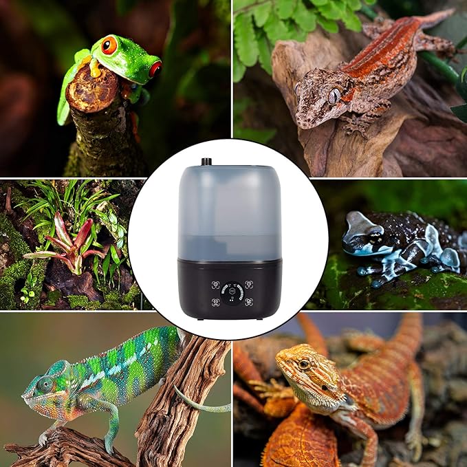Evergreen Pet Supplies Reptile Fogger Humidifier - 4L Tank, Digital Timer - Automatic Misting System for Terrarium & Amphibian Enclosures