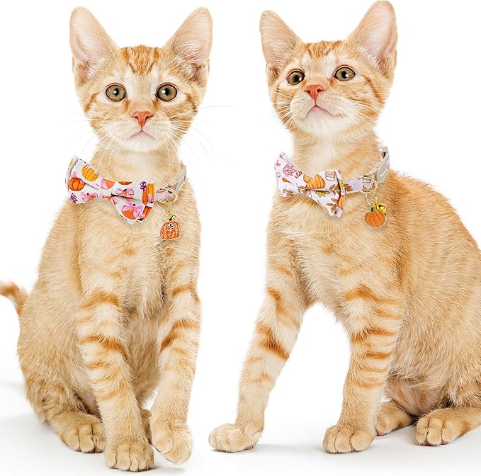 Faygarsle 2 Pack Fall Pumpkin Cat Collar with Bow Tie and Bell, Breakaway Safety Buckle, Pink and White
