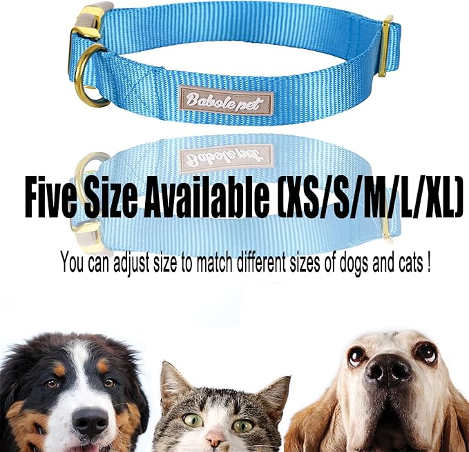 Nylon Dog Collar - Adjustable Blue Soft Webbing Dog Collars for Small Medium Large Dogs Boy Girl Puppy Collar with Safety Metal Buckle XS