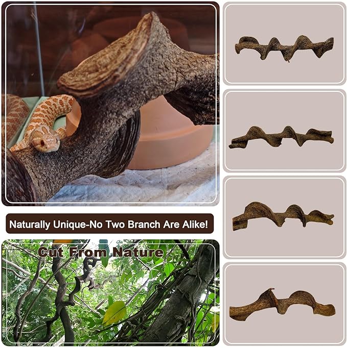 BNOSDM 3PCS Natural Reptile Climbing Branches Decor,1.8-2.2" Thick Natural Snake Climbing Forest Wood with Plant Leaf Decor,Lizard Forest Branch,Geckos Tank Tree Trunk Accessories for Bearded Dragons