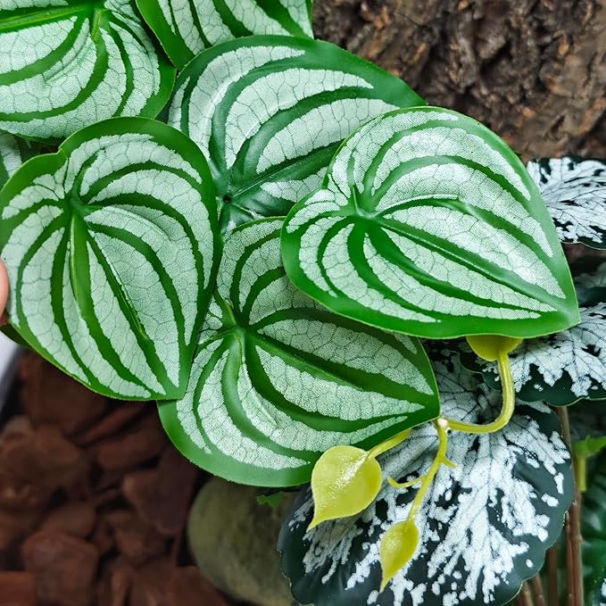 Woyrise Reptile Plants, Terrarium Hanging Plant Vines, Artificial Leaves with Suction Cup, Bearded Dragon Tank Accessories for Gecko Lizard Snake Frog Tortoise Decorations - Calathea Orbifolia