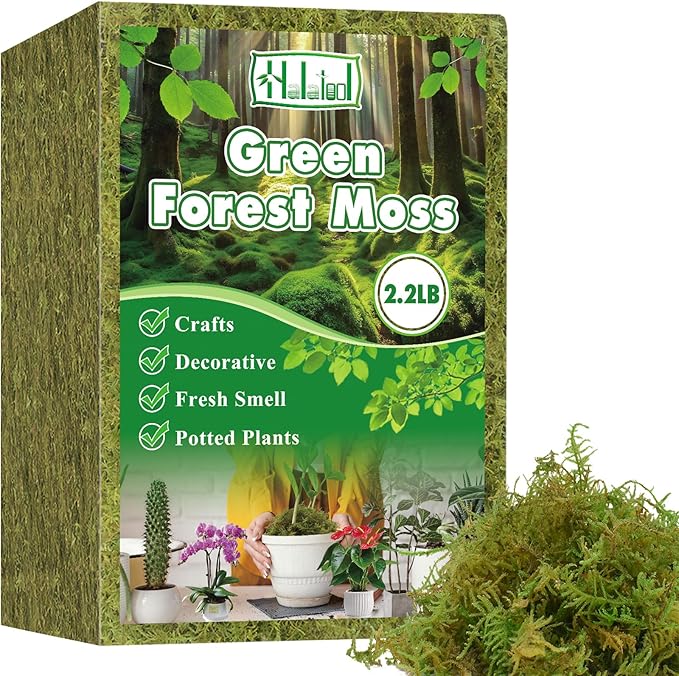 Halatool 2.2LBS Forest Green Moss for Indoor Potted Plants, Orchid Potting Mix, Indoor Potting Plant Moss for Repotting Terrariums Garden Reptiles