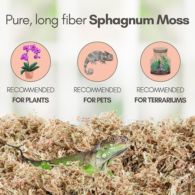 Mossify Premium Sphagnum Moss for Plants 5kg, 11 lbs - Long Fiber Moss for Plants Indoor, Orchids, Terrariums, Gardening, Reptiles – Moisture Plant Moss for Propagation, Soil & Habitat Bedding