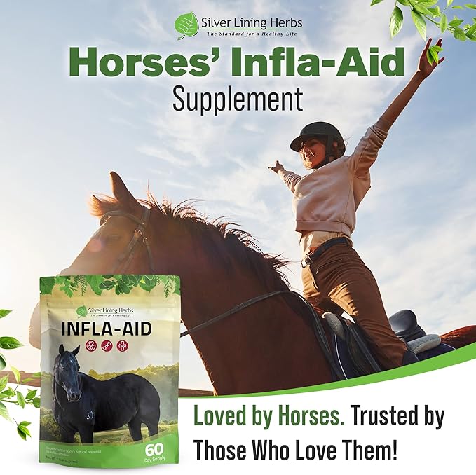 Silver Lining Herbs Infla-Aid for Horses – Natural Anti Inflammatory Supplement for Inflammation Relief – Supports Recovery, Comfort, and Mobility in Muscles, Tendons & Joints – 1 lb Bag (60 Servings)