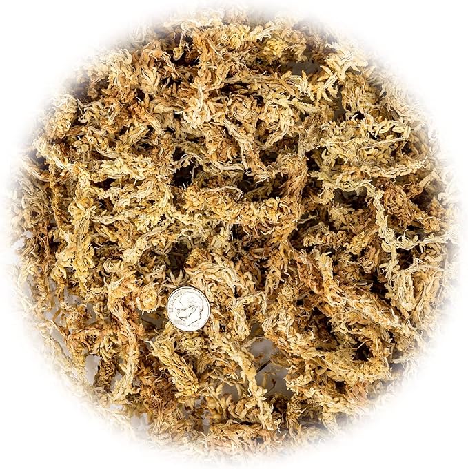 Gardenera Premium New Zealand Sphagnum Moss - Organic Hand Mixed Long Fibered Sphagnum Moss Orchid - 5 Quart