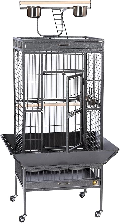 Prevue Hendryx 3152BLK Pet Products Wrought Iron Select Bird Cage, Black Hammertone,24'' x 20'' x 60''