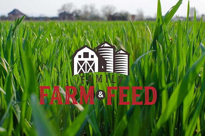 | Timothy Grass Food | Small Pet | Young and Adult | Cubes | 3 Pounds